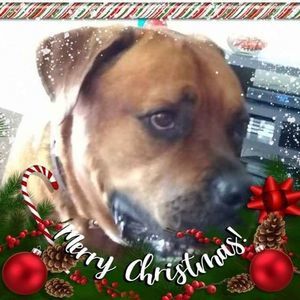 Meet your Posher, Cherith